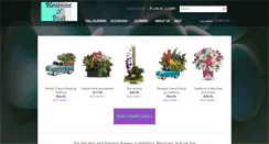 Desktop Screenshot of blossomnbuds.com